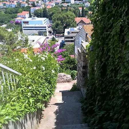 דירה Gitara *